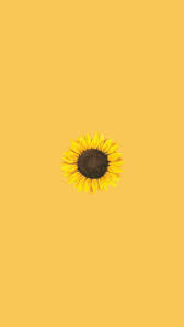 Yellow Flower Aesthetic Wallpapers On Wallpaperdog Yellow aesthetic pastel rainbow aesthetic aesthetic colors aesthetic collage aesthetic grunge aesthetic vintage aesthetic photo aesthetic 675x1200 wallpaper aesthetic background best of background e wallpaper freetoedit background yellow aesthetic bg flower gate yellow flowers. yellow flower aesthetic wallpapers on