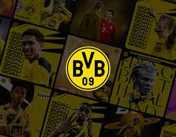 Borussia dortmund liegt 13 punkte hinter dem fc bayern. Borussia Dortmund Projects Photos Videos Logos Illustrations And Branding On Behance