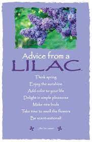 Advice From A Lilac Frameable Art Card Flower Quotes Card Art Advice Quotes