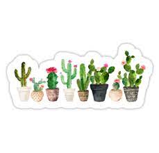 Delivering products from abroad is. Cactus Sticker By Bekkacampbell Cactus Stickers Bubble Stickers Aesthetic Stickers