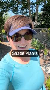 We’ve added lots of plants that are native to Nova Scotia into my mother’s  shade garden. Eastern Red Columbine, Joe Pye Weed and turtle heads! A few  non-natives were added to this bed to for some ...