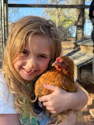 Where to find Cochin chicks in middle Georgia?