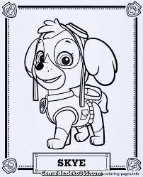 Grossartige Drucken Sie Malvorlagen Zu Gunsten Von Skye Paw Patrol Coloring Paw Patrol Coloring Pages Paw Patrol Party Supplies