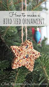 How To Make A Bird Seed Ornament Cha Ching On A Shoestring Neighbor Christmas Gifts Christmas Neighbor Bird Seed Ornaments