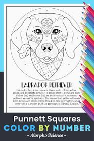 Pin On Science Color By Numbers