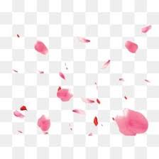 Flowers Pink Flowers Rose Petals Rose Petal Romantic Peach Blossom Peach Blossom Petals Vector We Floating Material Cherry Blossom Wallpaper Cherry Blossom Art
