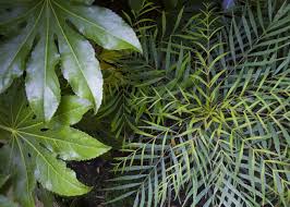 We did not find results for: Weaving The Garden Tapestry Blog At Thompson Morgan