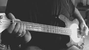 One Word Baby Animals Bass Cover Youtube