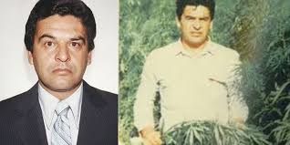 'Camarena jamás estuvo en un plantío, la DEA se guía por soplones', dice  expolicía