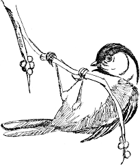 Can be converted into food points through your hoard to feed your dragons; File Black Capped Chickadee Drawing Jpg Outreach Wiki