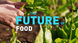 Collaboration, maximising resources and awareness of the wider business environment enables us to identify and improve supply chain. The Future Of Food Youtube