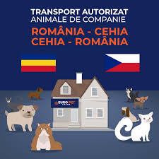 Șeful statului, religie, număr locuitori, suprafață, produs intern brut, șomaj, inflație. Transport Animale In Cehia Transport Animale Autorizat International