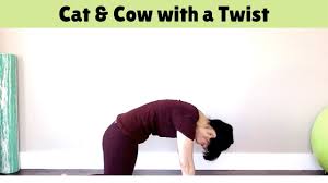 Performing exercises to work the core muscles can prevent injury, increase stability, and improve flexibility. Cat Cow With A Twist Cat Camel Exercise Youtube