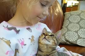 Maybe you would like to learn more about one of these? Richmond Spca
