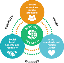 Building Your Social Capital | Balanced Achievement