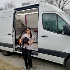 The cost of dog grooming can vary by dog size and coat type, as well as what services are included in a standard bath or groom. The 10 Best Mobile Dog Groomers In Lowell Ma With Free Estimates