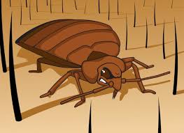 Several methods are used to control and kill. How To Get Rid Of Bed Bugs