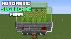 Yeah now i have 7 rows of sugar cane that are 7 blocks long each. Tutorials Sugar Cane Farming Official Minecraft Wiki