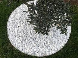 Entourage D Arbre Pvc En Kit Bordure De Jardin Jardins Arbre