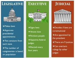 Flow Chart Of Us Govt Three Branches Of National