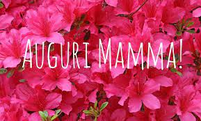 Ecco 5 fiori da regalare alla mamma per dimostrarle il proprio. Frasi Compleanno Mamma