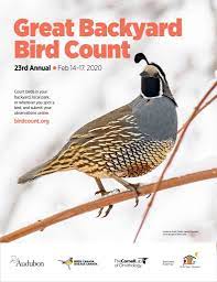 It stores more than 100 million bird sightings contributed each year and is used by professionals for science and. The Great Backyard Bird Count Feb 14 17 Outside My Window