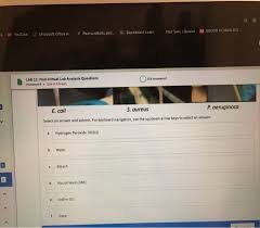 The simulation then allows you to edit the dna which will then create a new protein. Biology Archive July 28 2020 Chegg Com