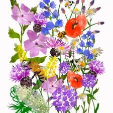 These flowering plants will attract bees to your garden and aid the pollination of many edible crops. 100 Wildflower Nectar Pollen Seed For Bees Pollinators Bee Happy Plants