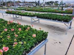 37 plant nursery jobs available in north carolina on indeed.com. Carolina Farmers Market Home Facebook