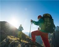 Free Woodland Hike