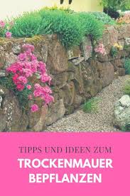 Naturstein Trockenmauer Bepflanzen Geignete Pflanzen Fur Mauerfugen Garten Bepflanzen Steinmauer Garten Garten Landschaftsbau