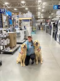 Congratulations to Zoey, a beautiful 7 month old mini bernadoodle,