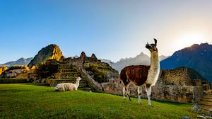 Moments from plaza de armas is an ancient monastery that has been at the heart of the city for centuries. Flights Tickets To Cuzco Cuz Avianca