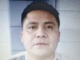 Crash kills four, injures seven