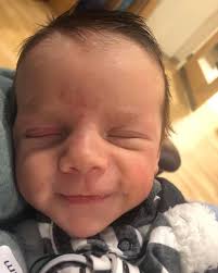 𝚁𝚊𝚢𝚗𝚎 𝚂𝚝𝚘𝚐𝚜𝚍𝚒𝚕𝚕♡︎ (@raynestogsdill) • Instagram photos and  videos