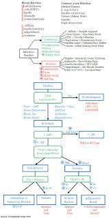 Image result for Acute Diarrhea