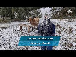 Un hecho histórico ha causado alegría a los habitantes de brasil en medio de una pandemia que ha afectado mucho a la población: Fqzkdqjgzbq3cm