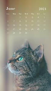 Free June 2021 Calendar Wallpapers Desktop Mobile