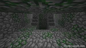 Join my discord and minecraft server! Jungle Temple In Minecraft