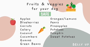 Check spelling or type a new query. Can My Dog Eat This A List Of Supermarket Fruits Vegetables Your Dog Can Eat Belly Up