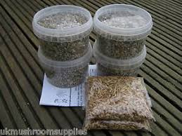 We aim to ensure all our products are certified with either an australian or internationally recognised biodynamic certification or organic certification. Complete Cat Grass Grow Kit Edible Grass Seed Mix Oat Wheat Barley Rye Ebay