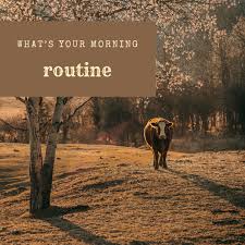 8 Seconds Western Wear