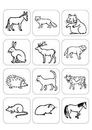 Ein typisches memo zum ausdrucken, laminieren, ausschneiden und spielen. Bilder Von Tieren Tiere Sprache Vorschulkunstaktivitaten