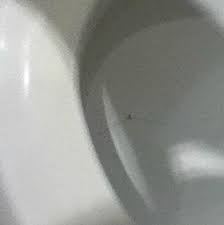 4.1 out of 5 stars 25. Crack In Toilet Bowl Picture Of Swan S Nest Hotel Stratford Upon Avon Tripadvisor