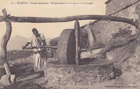 Histoire Insolite Et Si On Utilisait L Huile D Olive Comme Lubrifiant Moteur Cdha Fr