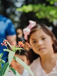 Naturally Delightful