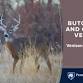 Venison 101: Hands-On Butchering, Processing, and Cooking