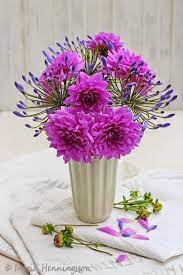 A Bunch For The Weekend 24 Dahlia And Agapanthus Flower Arrangements Simple Flower Arrangements Dahlia