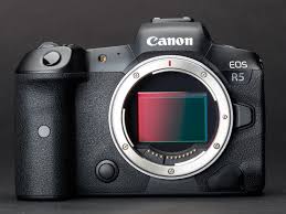 1.with camera,can connect to the monitor for video or can make photo when make alarm. Canon Eos R5 Review Digital Photography Review