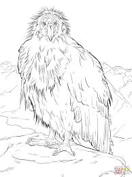 Grand canyon coloring page from mountains category. California Condor Takes A Break At The Grand Canyon Coloring Page 2112887 Png Images Pngio